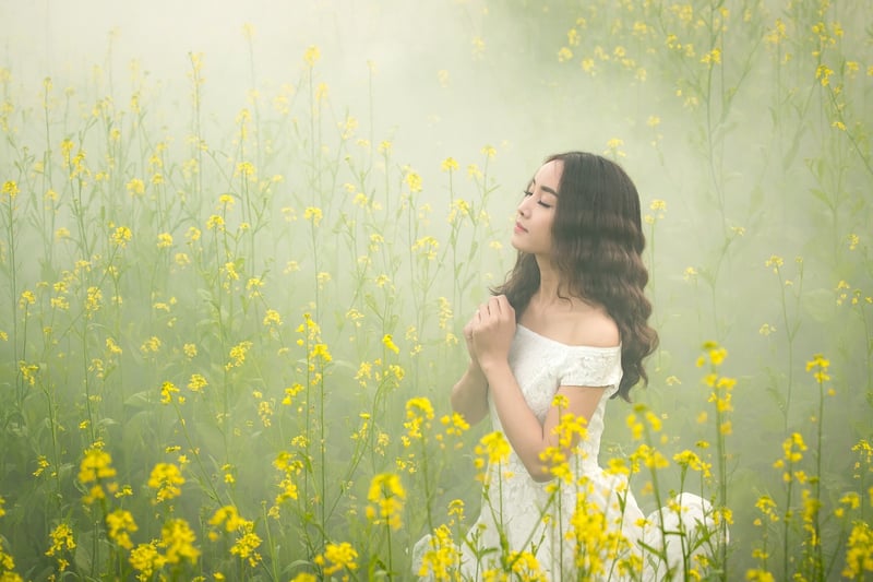 Dreamy Meadows